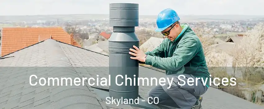 Commercial Chimney Services Skyland - CO