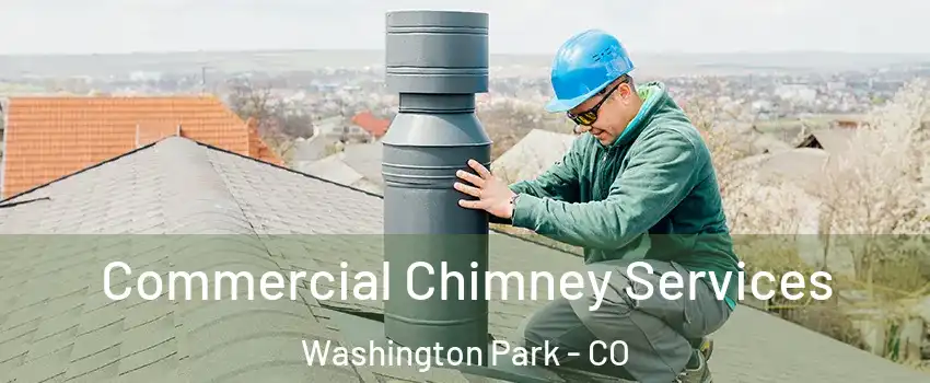 Commercial Chimney Services Washington Park - CO