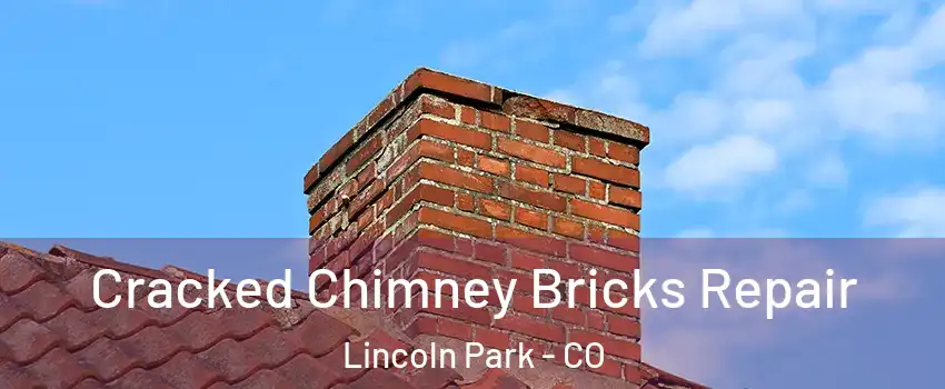 Cracked Chimney Bricks Repair Lincoln Park - CO