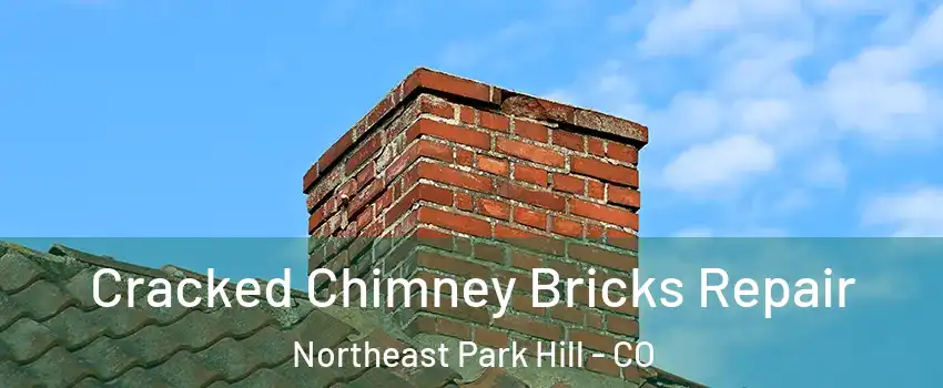 Cracked Chimney Bricks Repair Northeast Park Hill - CO