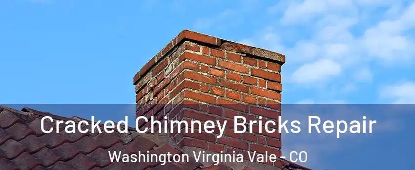 Cracked Chimney Bricks Repair Washington Virginia Vale - CO