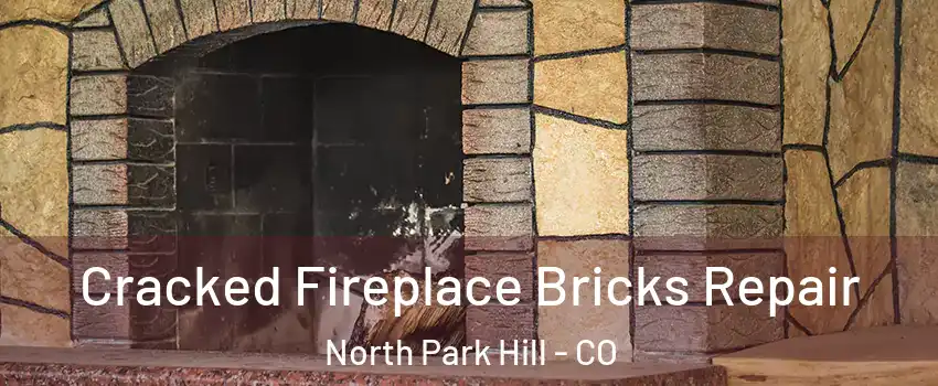 Cracked Fireplace Bricks Repair North Park Hill - CO