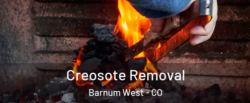 Creosote Removal Barnum West - CO