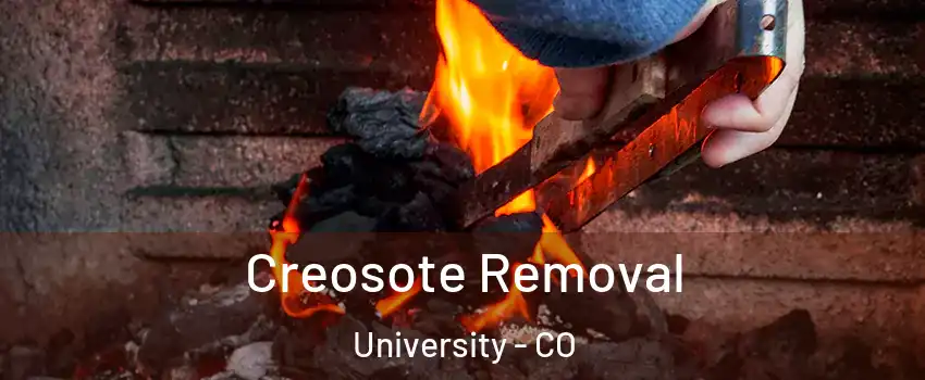 Creosote Removal University - CO