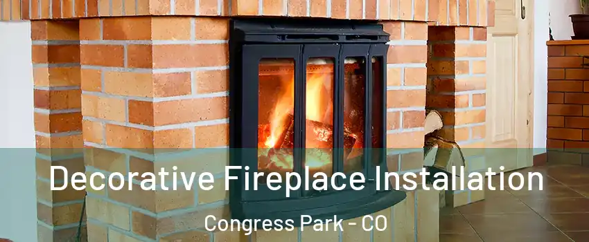 Decorative Fireplace Installation Congress Park - CO