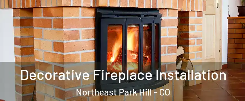 Decorative Fireplace Installation Northeast Park Hill - CO