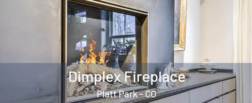 Dimplex Fireplace Platt Park - CO