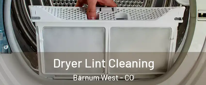 Dryer Lint Cleaning Barnum West - CO