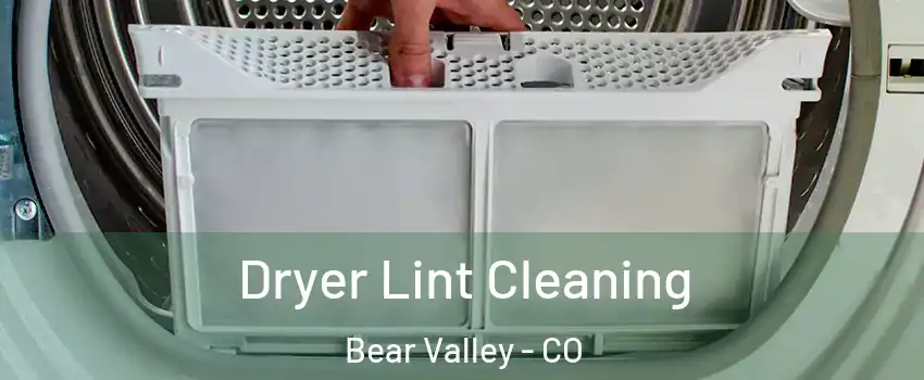 Dryer Lint Cleaning Bear Valley - CO