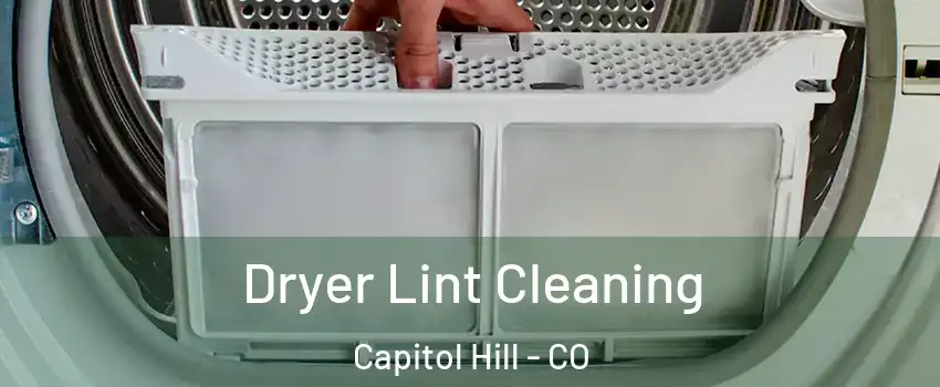 Dryer Lint Cleaning Capitol Hill - CO