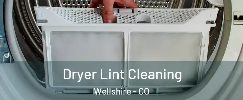 Dryer Lint Cleaning Wellshire - CO