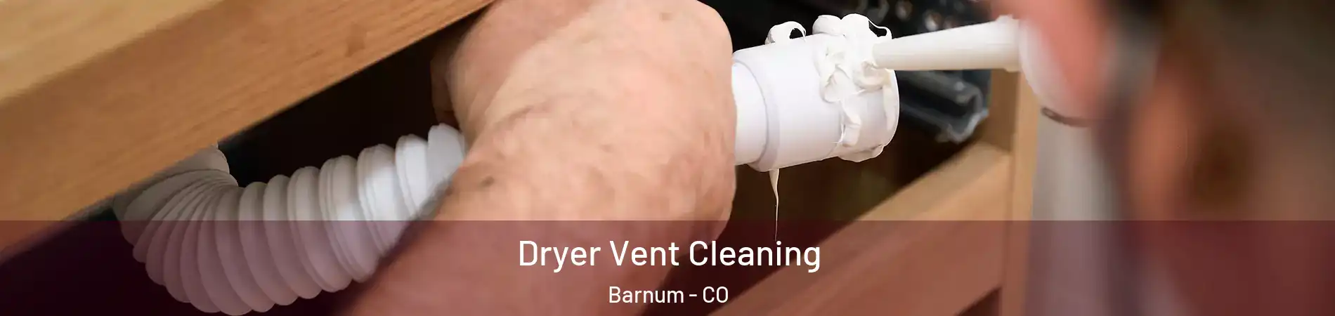 Dryer Vent Cleaning Barnum - CO