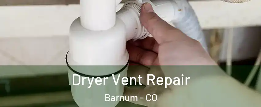 Dryer Vent Repair Barnum - CO