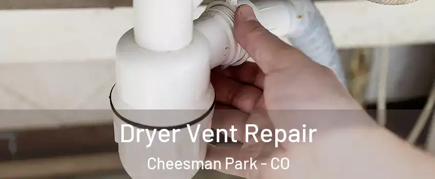 Dryer Vent Repair Cheesman Park - CO