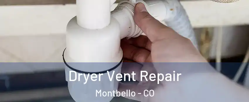 Dryer Vent Repair Montbello - CO