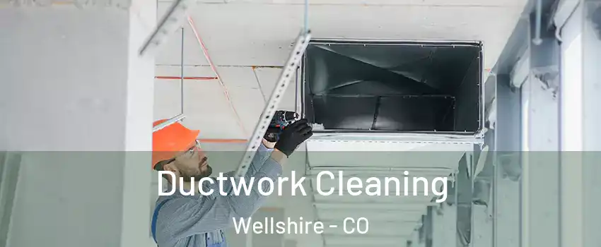 Ductwork Cleaning Wellshire - CO