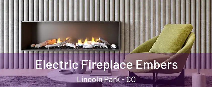 Electric Fireplace Embers Lincoln Park - CO