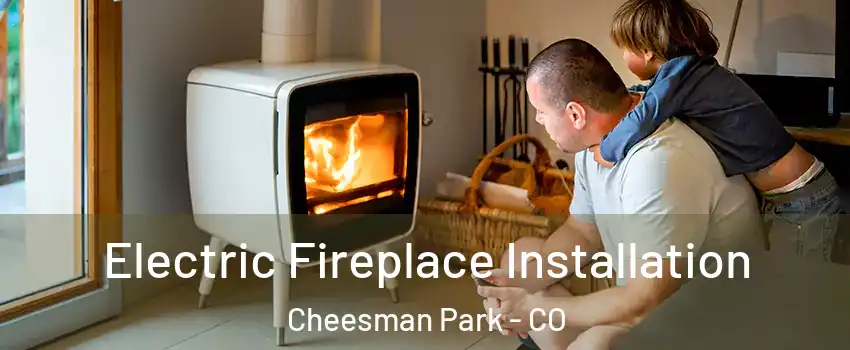 Electric Fireplace Installation Cheesman Park - CO