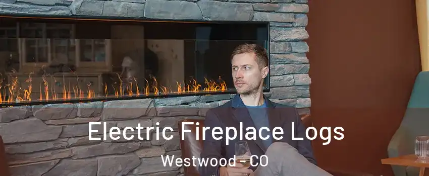 Electric Fireplace Logs Westwood - CO