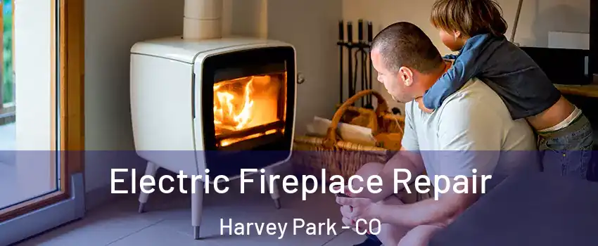 Electric Fireplace Repair Harvey Park - CO