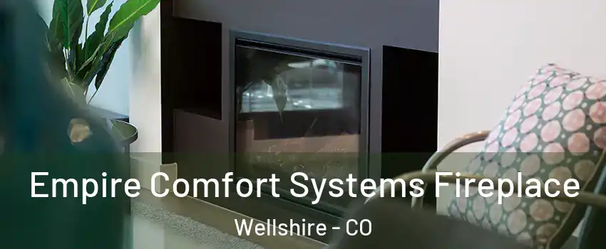 Empire Comfort Systems Fireplace Wellshire - CO