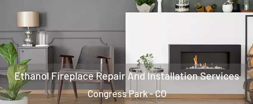 Ethanol Fireplace Repair And Installation Services Congress Park - CO