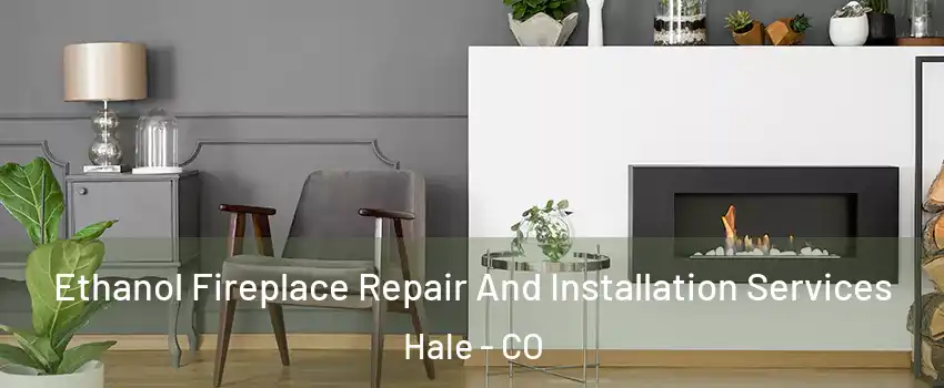 Ethanol Fireplace Repair And Installation Services Hale - CO