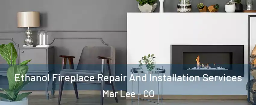 Ethanol Fireplace Repair And Installation Services Mar Lee - CO