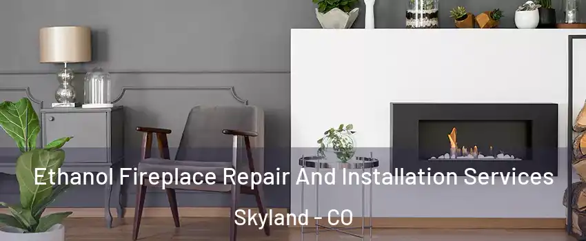 Ethanol Fireplace Repair And Installation Services Skyland - CO