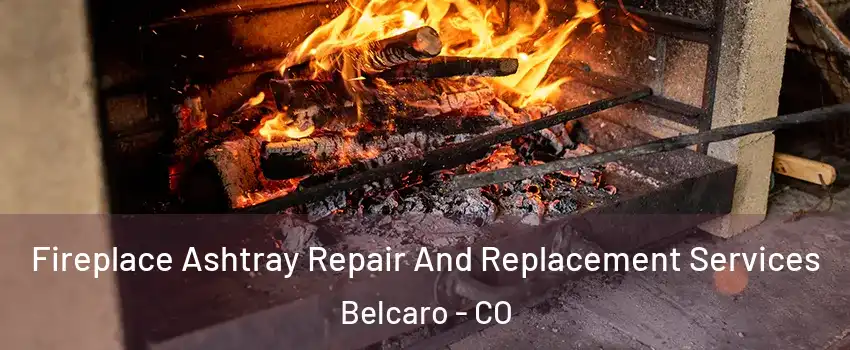 Fireplace Ashtray Repair And Replacement Services Belcaro - CO