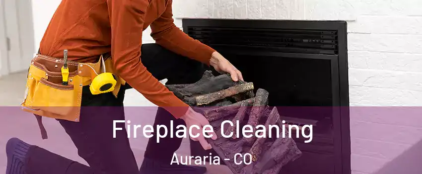 Fireplace Cleaning Auraria - CO