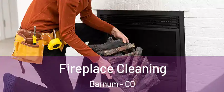 Fireplace Cleaning Barnum - CO