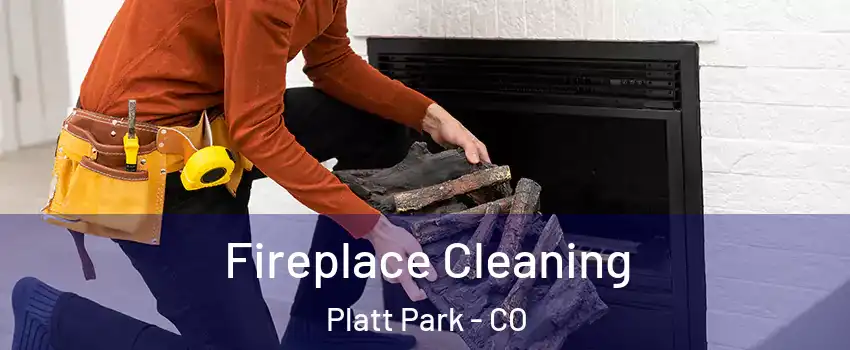 Fireplace Cleaning Platt Park - CO