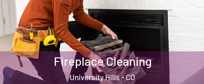 Fireplace Cleaning University Hills - CO