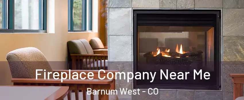 Fireplace Company Near Me Barnum West - CO