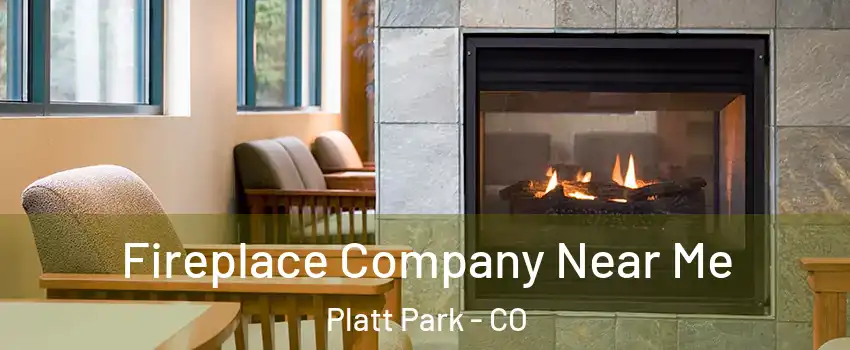 Fireplace Company Near Me Platt Park - CO