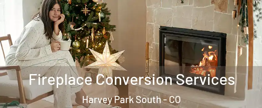 Fireplace Conversion Services Harvey Park South - CO