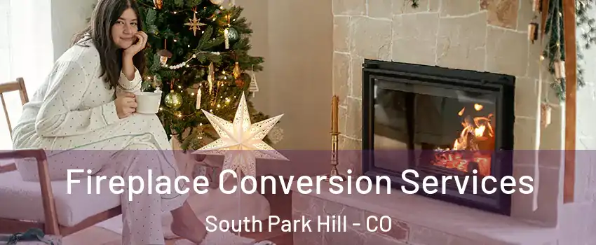 Fireplace Conversion Services South Park Hill - CO