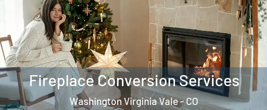 Fireplace Conversion Services Washington Virginia Vale - CO