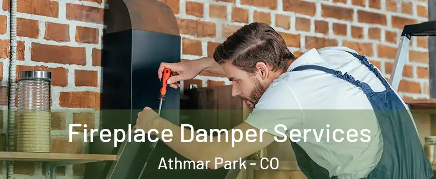 Fireplace Damper Services Athmar Park - CO