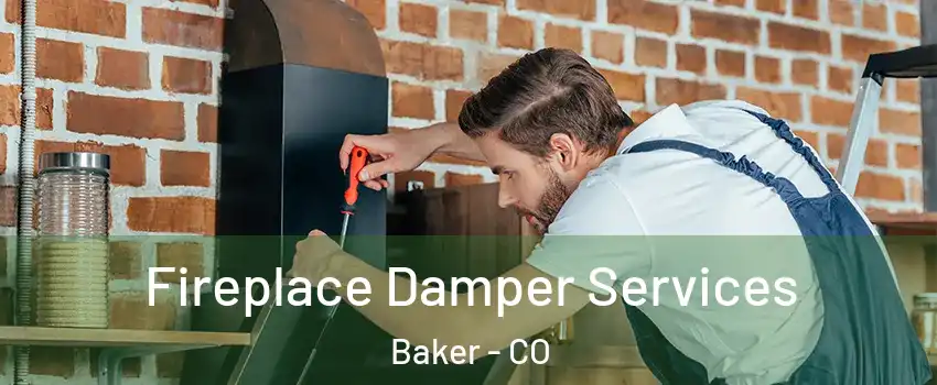 Fireplace Damper Services Baker - CO