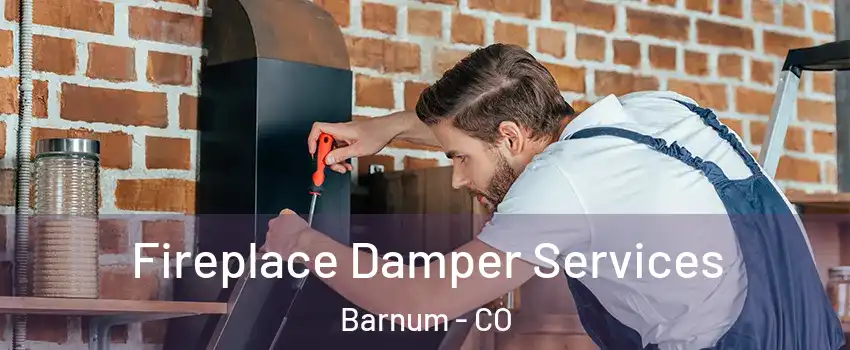 Fireplace Damper Services Barnum - CO