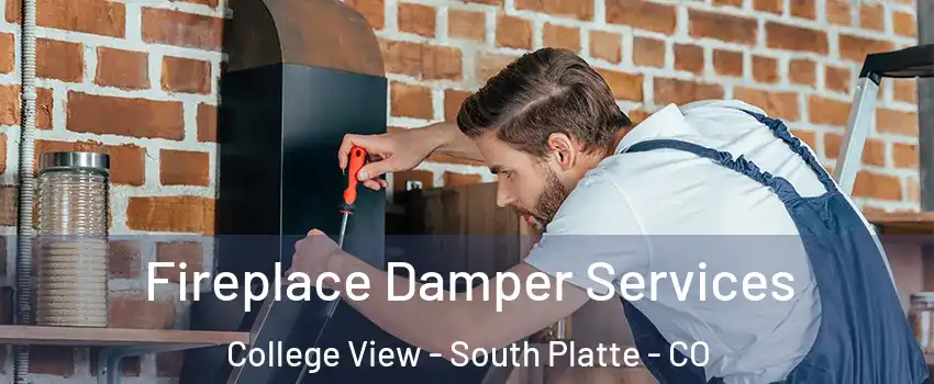 Fireplace Damper Services College View - South Platte - CO