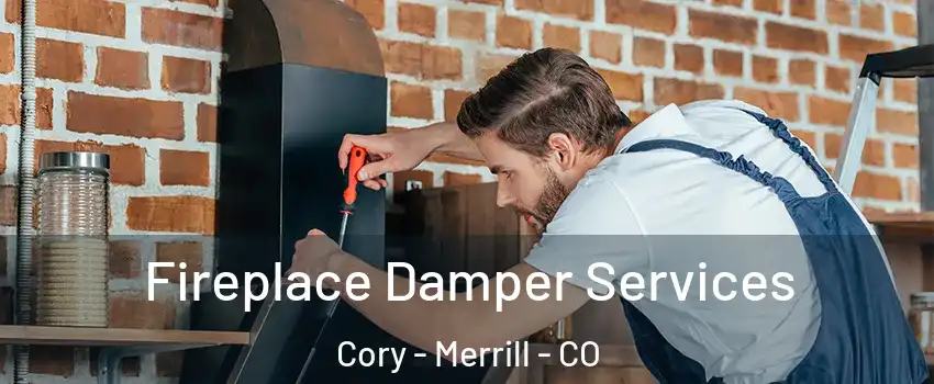 Fireplace Damper Services Cory - Merrill - CO