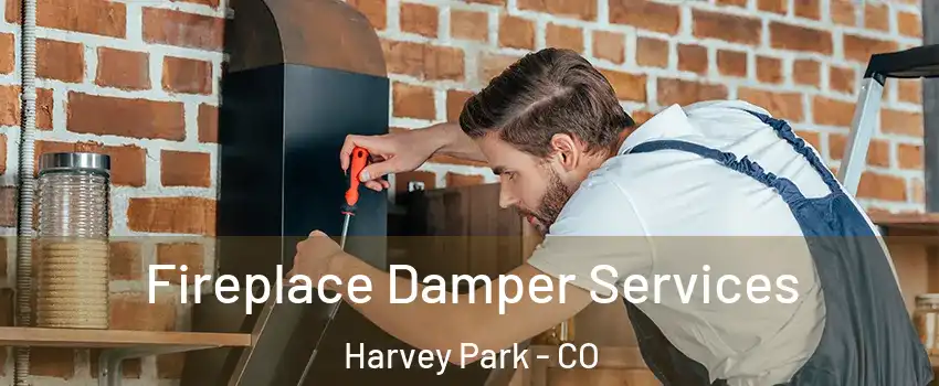 Fireplace Damper Services Harvey Park - CO