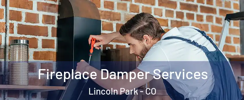 Fireplace Damper Services Lincoln Park - CO