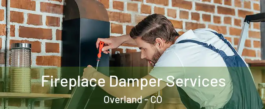 Fireplace Damper Services Overland - CO