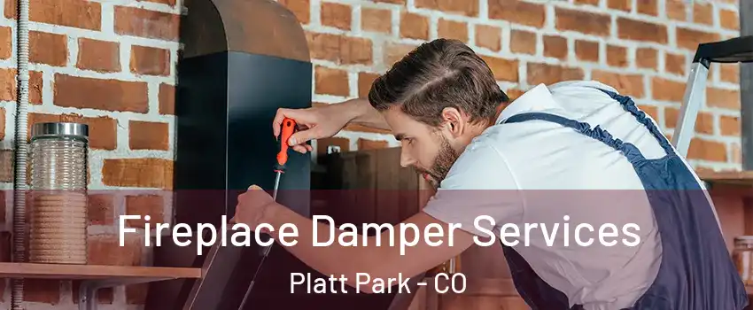 Fireplace Damper Services Platt Park - CO