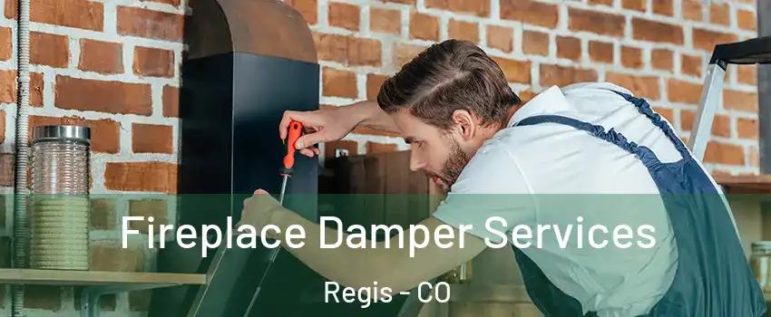 Fireplace Damper Services Regis - CO