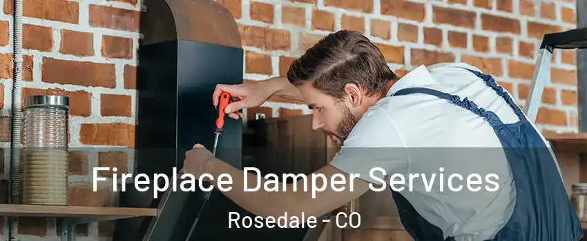 Fireplace Damper Services Rosedale - CO